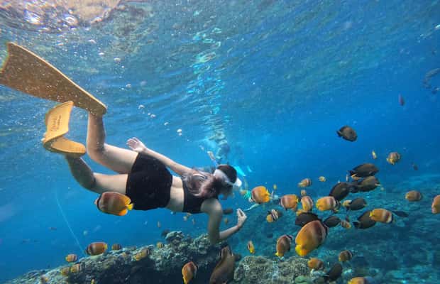 image n.1 of From Bali: 3 Snorkeling Spots Tour to Lembongan and Penida activity in Denpasar, uploaded by supplier