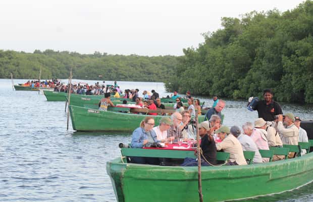image n.1 of Caroni: Bird Sanctuary Wildlife Swamp Tour activity in San Juan-Laventille, uploaded by supplier