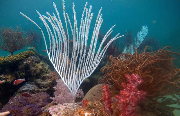 зображення №1 активності «Екскурсії по Червоній річці - морські прогулянки на острові Фукуок» в такій локації: An Thoi, острів Фукуок, завантажене постачальником