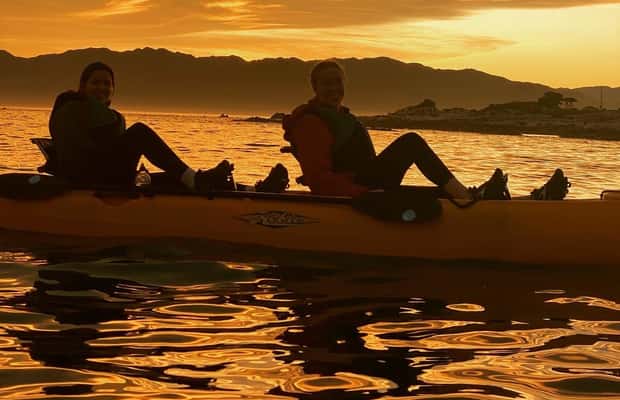 image n.1 of Kaikōura: Kayak Sunset Tour with Seal Sightings activity in Kaikoura, uploaded by supplier