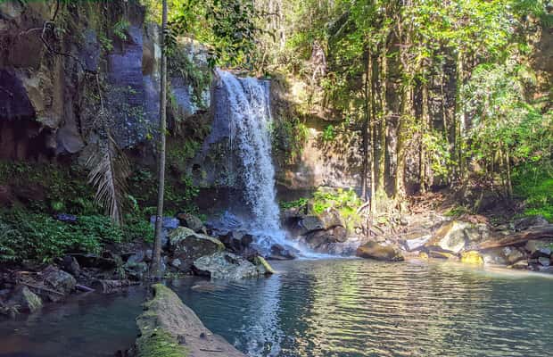 Bild Nr. 1 von Von Brisbane aus: Tamborine Mountain und Paradise Point Tour Aktivität in Tamborine Mountain, hochgeladen vom Anbieter