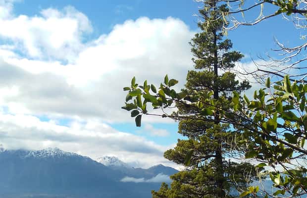 image n.1 of Lago Puelo: Andinean Day Hike activity in Chubut Province, uploaded by supplier