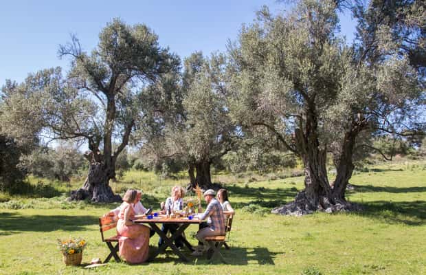 image n.1 of Rethymno: Olive Oil Tasting with Cretan Food Pairing activity in Crete, uploaded by supplier