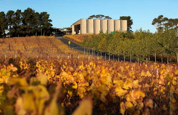 image n.1 of Hobart: Moorilla's Wine + Art at Mona by Boat activity in Hobart, uploaded by supplier