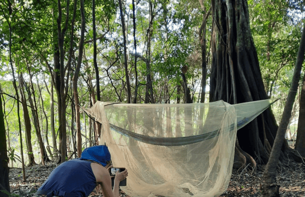imagen n.º 1 de Manaos: 2, 3 ó 4 días en la Experiencia Supervivencia Amazónica actividad en Manaos, subida por el proveedor