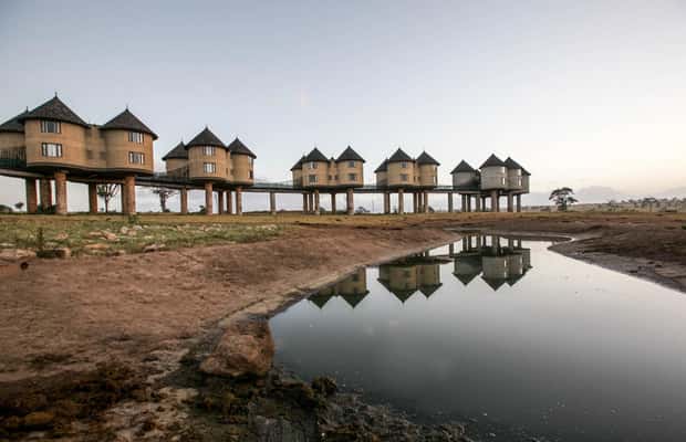 image n.1 of 2 days 1 night saltlick safari from Diani/Mombasa activity in Coast Province, uploaded by supplier