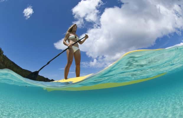 billede nr.1 af aktiviteten Thomas: SUP-udlejning i mangrove-lagunen i Red Hook, Saint Thomas, uploadet af udbyder