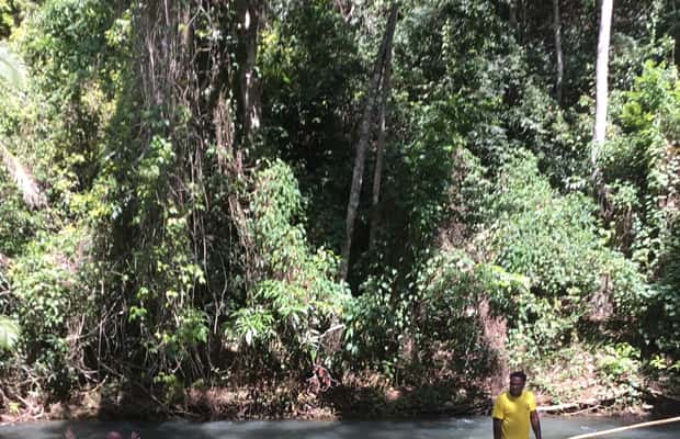imagem n.1 de Falmouth: Rafting de bambu e excursão às Cataratas do Rio Dunn atividade em Ocho Rios, carregada pelo fornecedor