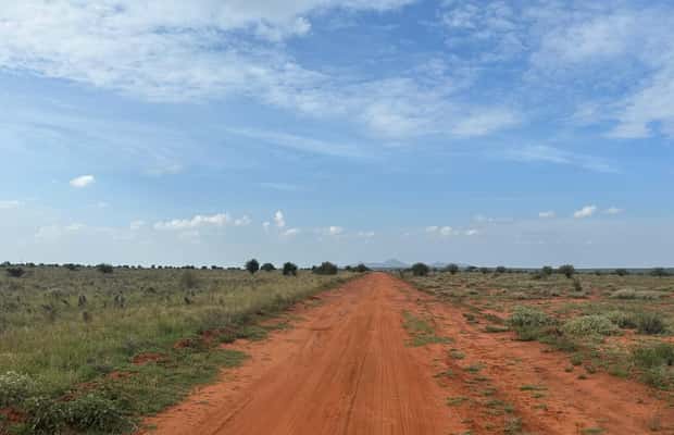 image n.1 of From Watamu: 2-Day Safari in Tsavo East National Park activity in Coast Province, uploaded by supplier