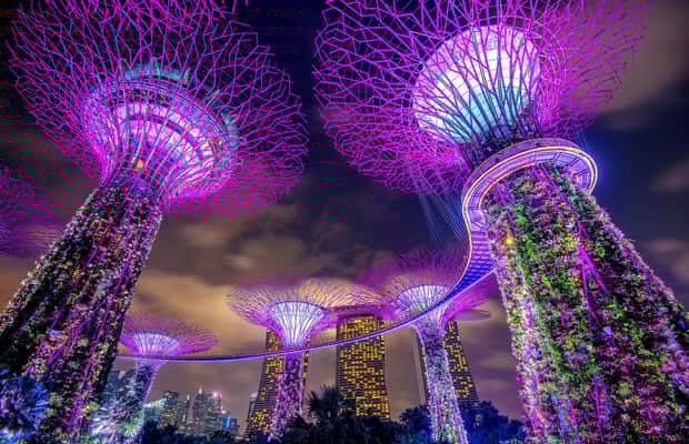 imagen n.º 1 de Singapur Marina Bay Sands & Gardens By The Bay & Traslado actividad en Singapur, subida por el proveedor