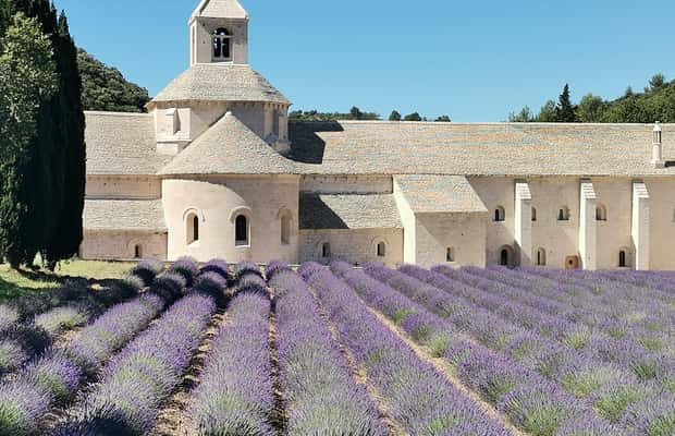 imagem n.1 de De Marselha: Tour particular personalizado de um dia pela Provença atividade em Avignon, carregada pelo fornecedor