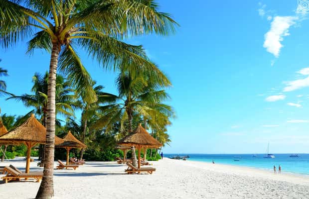 image n.1 of Mbudya island from Dar es salaam safari. activity in Tanzania, uploaded by supplier