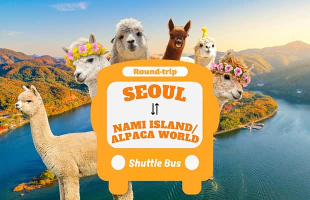 image n.1 of Seoul to/from Nami Island or Alpaca World: Shuttle Service activity in Seoul, uploaded by supplier