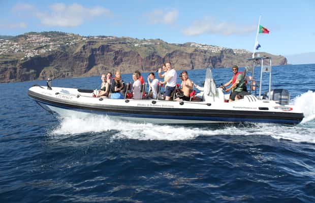 image n.1 of From Funchal: Whales and Dolphin Adventure Tour activity in Funchal, uploaded by supplier