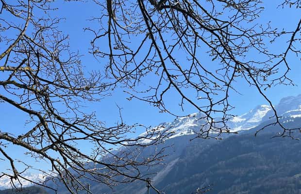 image n.1 of From Basel: Alps, Waterfalls and Lakes Private Tour activity in Lauterbrunnen, uploaded by supplier