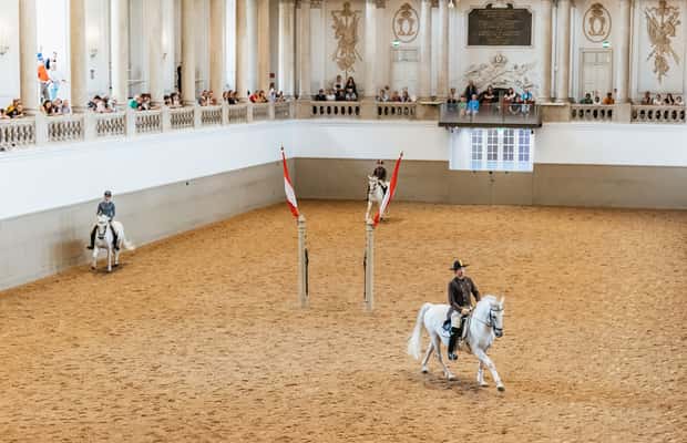 Image N°1 de Vienne : Formation à l'école d'équitation espagnole activité à Vienne, publiée par le prestataire
