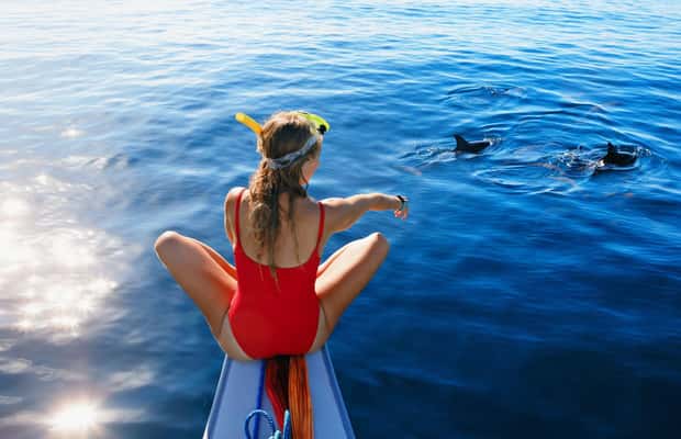 изображение № 1 от Бали/Ловина: Делфин с шнорхел, плуване и водопад за дейност из Бали, качено от доставчика