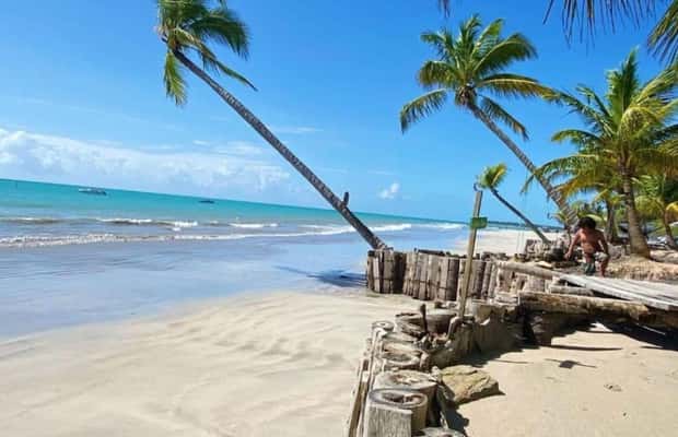 imaginea n.1 a activității Maceió: Turul Plajei Ipioca (Hibiscus Beach Club) în Maceió, încărcată de organizator