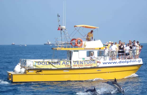 image n.1 of Gibraltar: Dolphin Watching Tour activity in Gibraltar, uploaded by supplier
