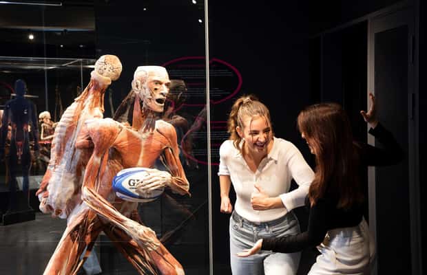 image n.1 of Body Worlds Amsterdam: The Happiness Project Ticket activity in Amsterdam, uploaded by supplier