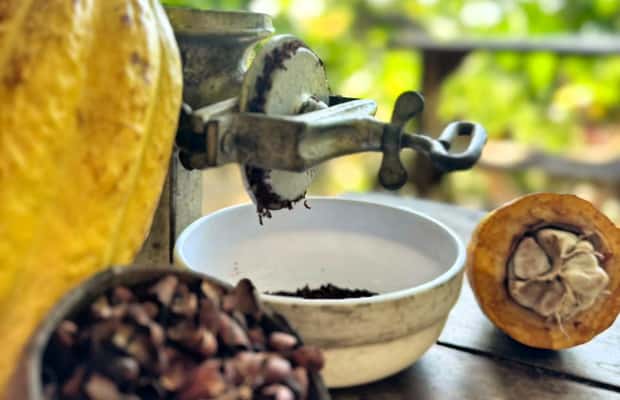 image n.1 of Cacao Experience Tour activity in Magdalena, uploaded by supplier