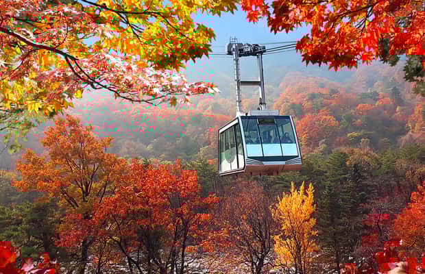image n.1 of Seoul: Mt Seorak(Cable Car)+Sokcho Beach&Market+Observatory activity in Gangwon-do Province, uploaded by supplier