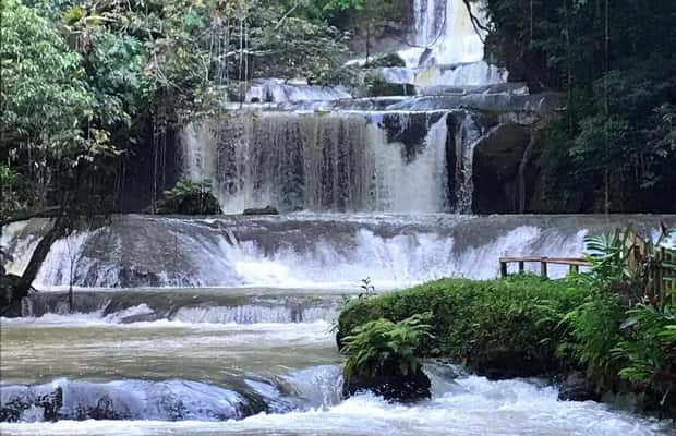imagem n.1 de Jamaica: Excursão de 1 dia às Cataratas YS e Safari em Black River atividade em Negril, carregada pelo fornecedor