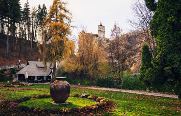 image n.1 of Legends&Wildlife Awaits: Dracula's Castle & Bear Sanctuary activity in Brasov, uploaded by supplier