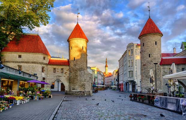 Obraz nr 1 z atrakcji Wycieczka na ląd w Tallinie w Tallinn, przesłany przez organizatora
