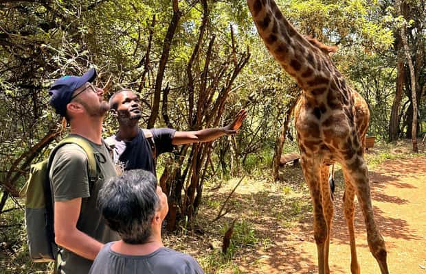 תמונה מס' ⁦1⁩ מתוך ⁦"חיות הבר וההרפתקה התרבותית האולטימטיבית של ניירובי⁩, פעילות ב⁦ניירובי⁩, הועלתה על-ידי הספק