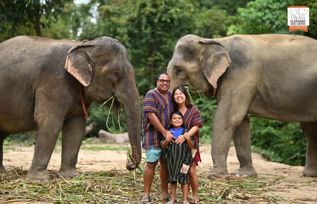 billede nr.1 af aktiviteten Koh Samui: Indgang til elefantreservat og fodringsoplevelse i Thailandbugten, uploadet af udbyder
