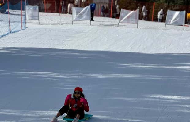 pilt nr 1/Melbourne: Lake Mountain Snow & Redwood Forest Tours tegevusest Narbethong, üles laadinud tarnija