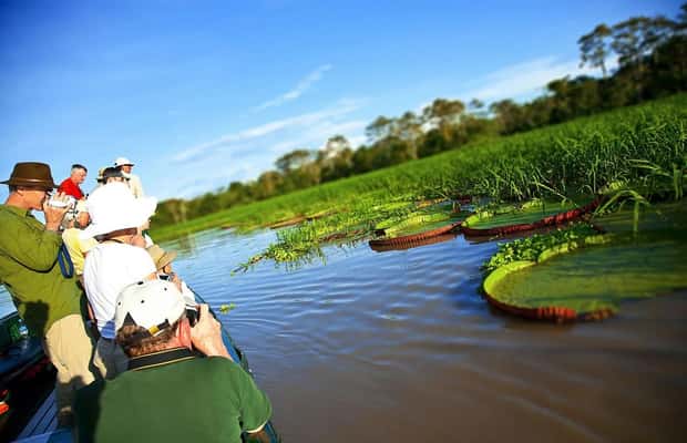 Pacaya‑Samiria: 1‑Tages‑Expedition ab Iquitos