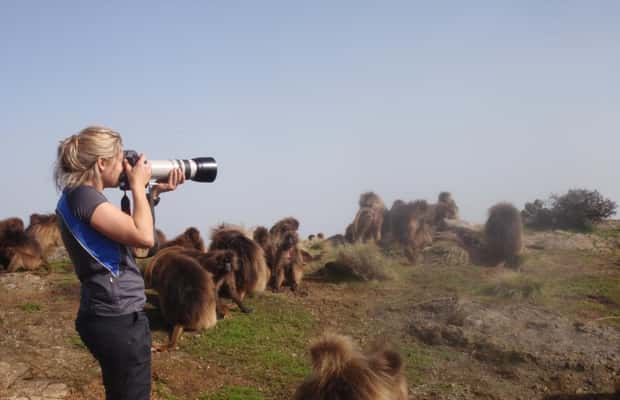 image n.1 of 3 Days Trekking & Wildlife Spotting in the Simien Mountains activity in Amhara Region, uploaded by supplier