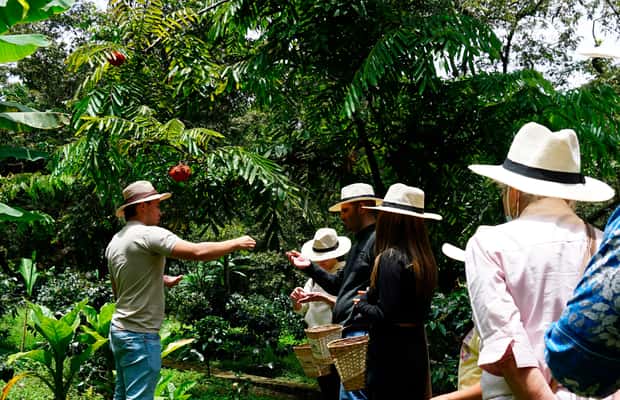 image n.1 of From Bogotá: Coffee Farm and Tequendama Falls Tour activity in Cundinamarca, uploaded by supplier