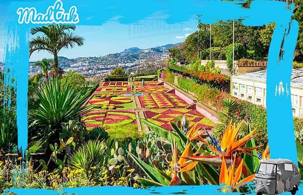 image n.1 of Madeira: Botanical Gardens + Old Town Tuk-Tuk Tour by MadTuk activity in Funchal, uploaded by supplier
