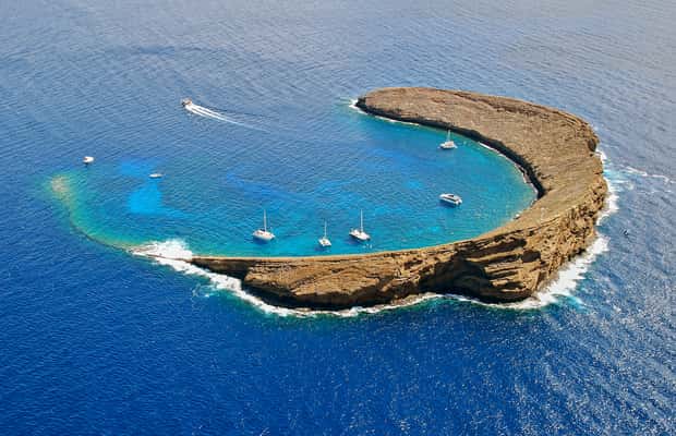 image n.1 of Maui: Molokini Snorkel and Performance Sail with Lunch activity in Hawaii, uploaded by supplier