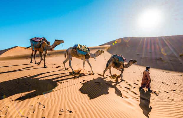 bilde nr.1 av Fra Fes til Marrakech: 3-dagers oppdagelsesreise i Sahara-ørkenen aktivitet i Drâa-Tafilalet, lastet opp av leverandør