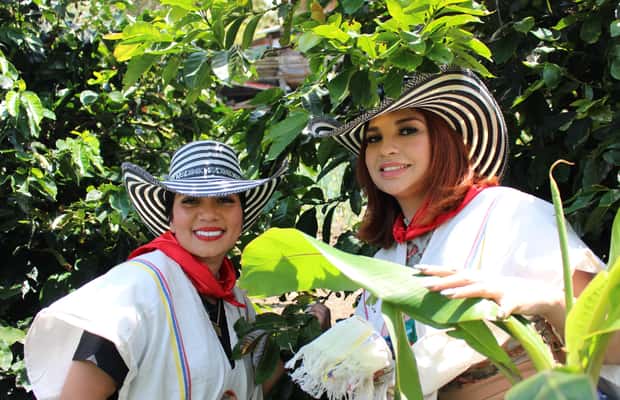 image n.1 of Medellin: Coffee Tour with Hotel Transfers and Meals activity in Medellin, uploaded by supplier