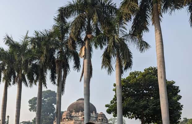 image n.1 of Delhi: Yoga in Lodhi Garden activity in New Delhi, uploaded by supplier