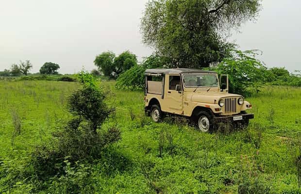 image n.1 of Bishnoi Village :Safari tour activity in Jodhpur, uploaded by supplier