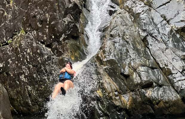 billede nr.1 af aktiviteten Fajardo: Guidet eventyr i El Yunque-skoven i Río Grande, Puerto Rico, uploadet af udbyder