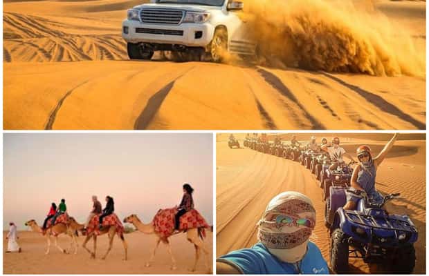 image n.1 of Doha: Safari, Camel Ride, Sandboarding and Inland Sea Tour activity in Qatar, uploaded by supplier