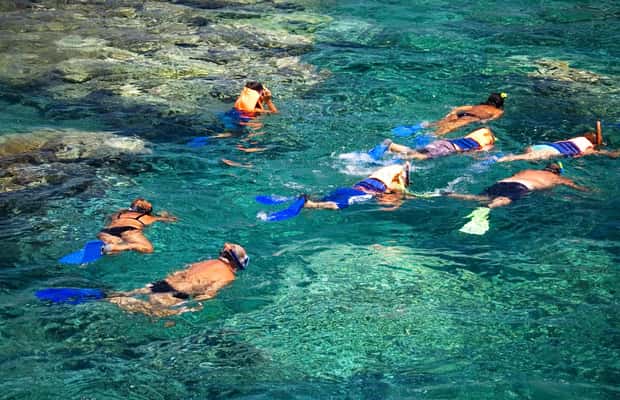 image n.1 of La Paz: Coral Farm Snorkel Tour activity in La Paz, Mexico, uploaded by supplier