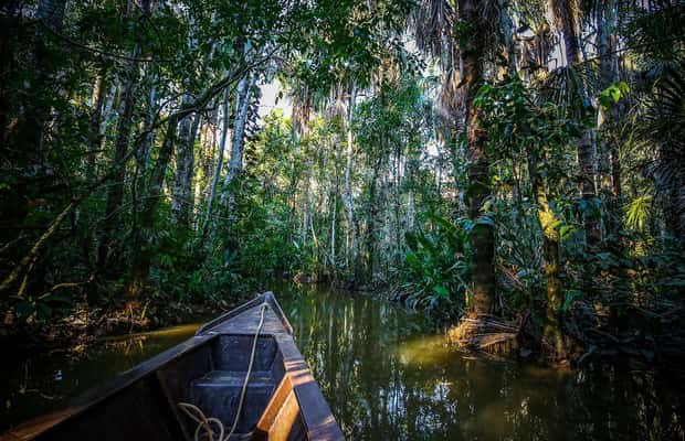 image n.1 of Iquitos : Amazon Two-Day Adventure activity in Huanuco Region, uploaded by supplier