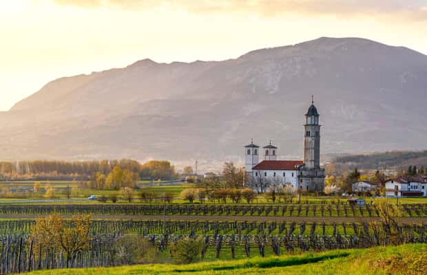 Bild Nr. 1 von Von Ljubljana aus: Vipava Valley Wine Express Tour Aktivität in Ljubljana, hochgeladen vom Anbieter