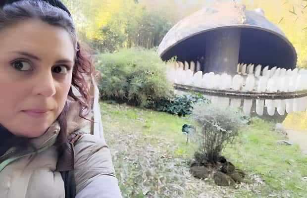 imagen n.º 1 de Desde Florencia: Tour privado de la historia de Pinocho actividad en Collodi, subida por el proveedor