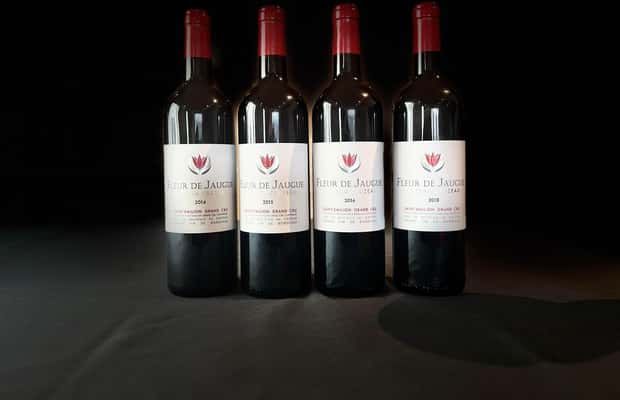 bilde nr.1 av Den vertikale på Château Cruzeau aktivitet i Libourne, lastet opp av leverandør