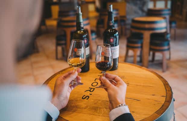 image n.1 of Porto: Taylor’s Port Cellar Tour & WOW Wine Experience activity in Vila Nova de Gaia, uploaded by supplier