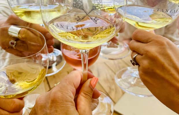 image n.1 of From Auckland: Waiheke Island Wineries' Tour activity in Auckland, uploaded by supplier
